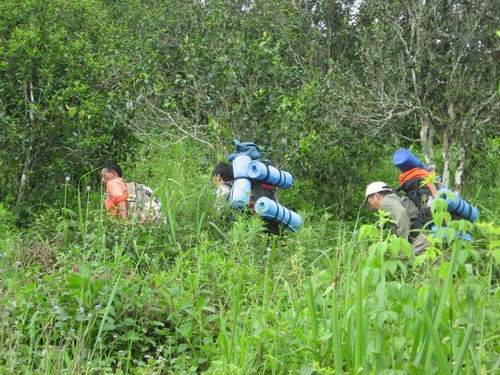 西双版纳勐往曼糯古茶山之行\西双版纳徒步游