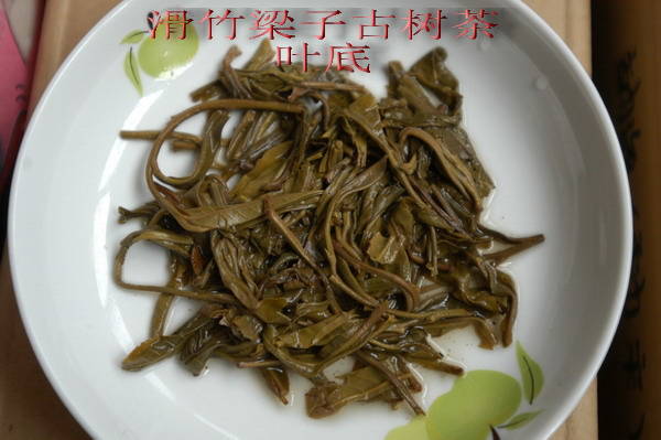 2008之春普洱茶系列—勐宋滑竹梁子古树