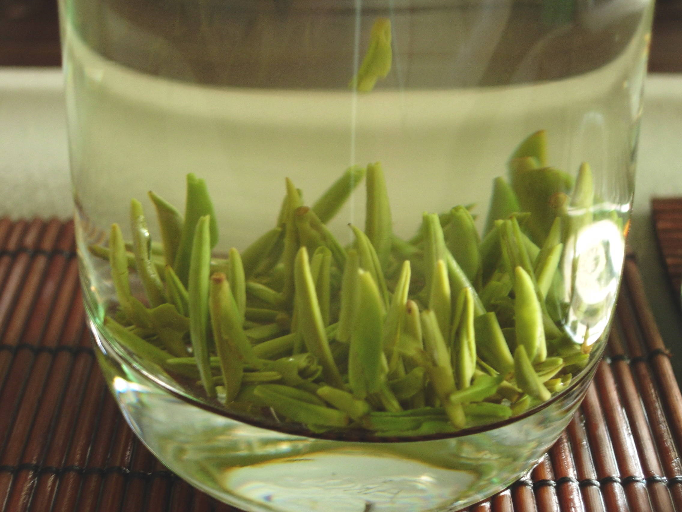 冷暖相知"竹叶青"