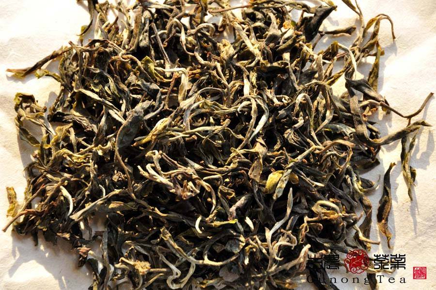 2012景迈大寨抢鲜品鉴小树茶今天已压制完成,待干燥