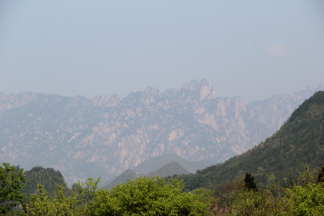 带您走近燕子的家乡——黄山九龙峰生态自然保护区
