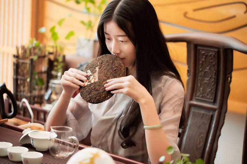 如何区分普洱茶中的陈香,霉味,堆味以及仓味?