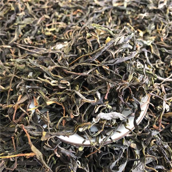 2020春 永德藤子茶 单株